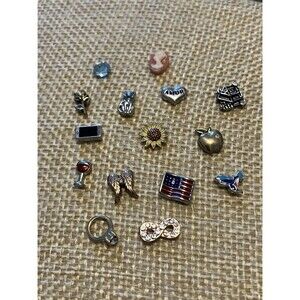 Floating Charms Lot for Origami Owl cat flower flag wine angel heart phone